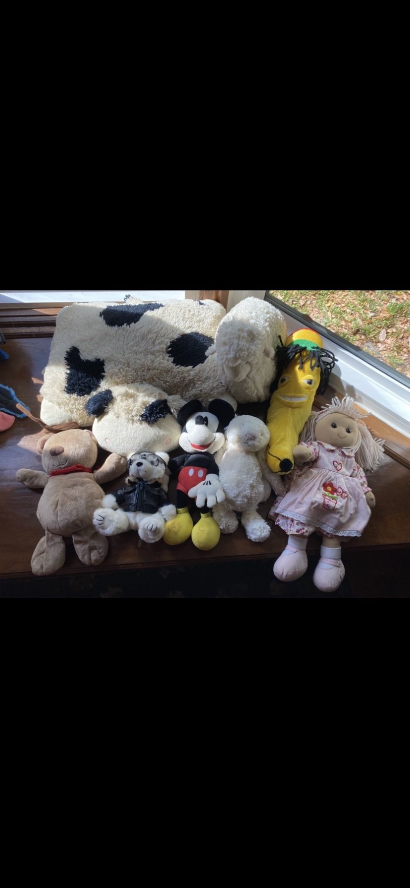 Assorted Stuffed Animals 