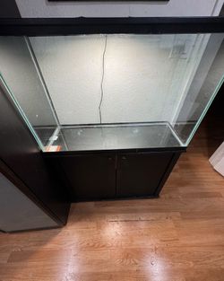 Glass Tank and Stand