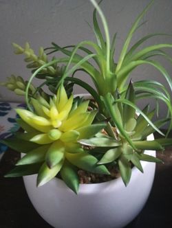 Artificial Short Succulents