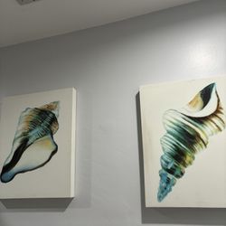 Seashell Canvases 