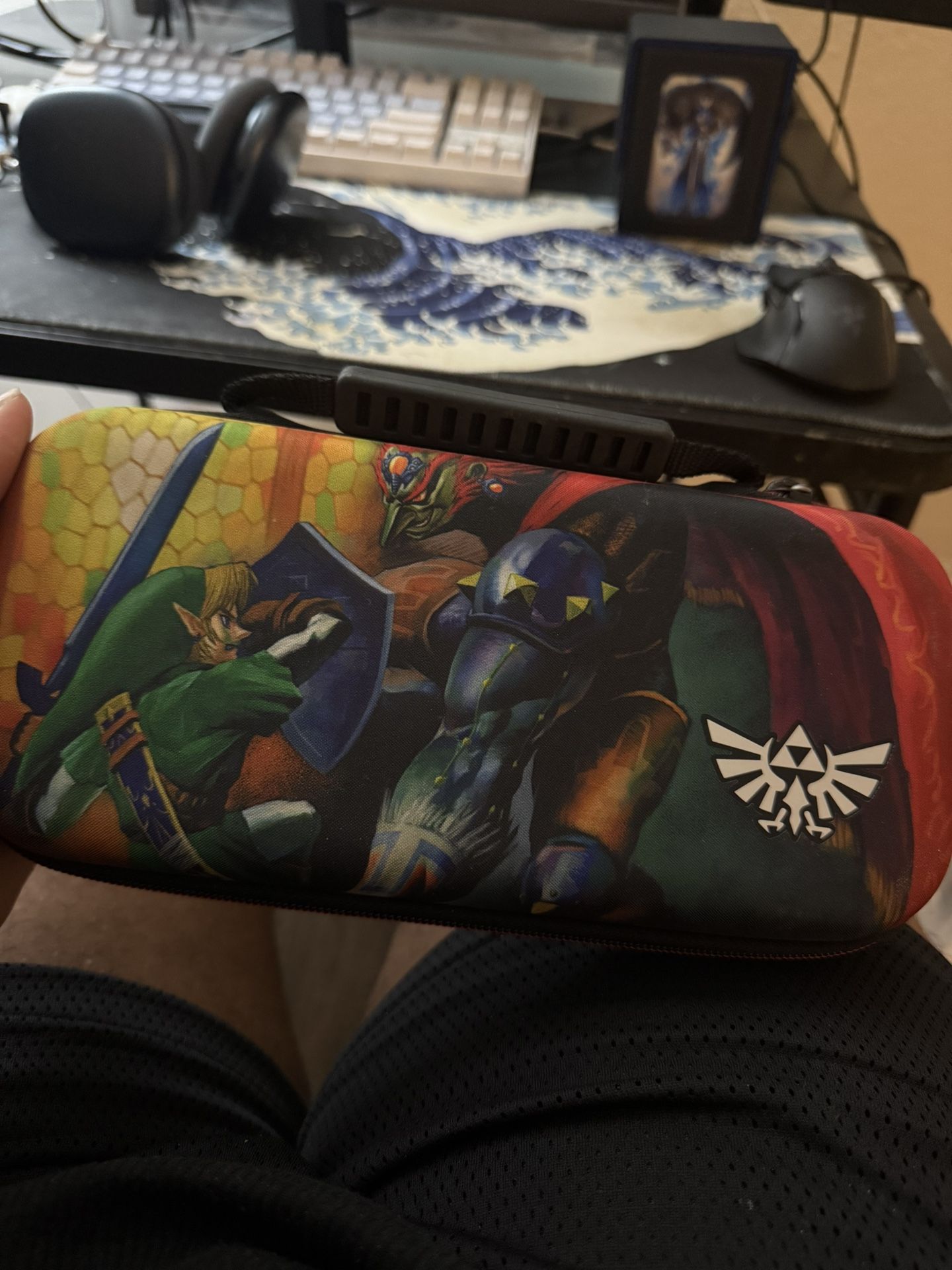 Zelda Switch Case