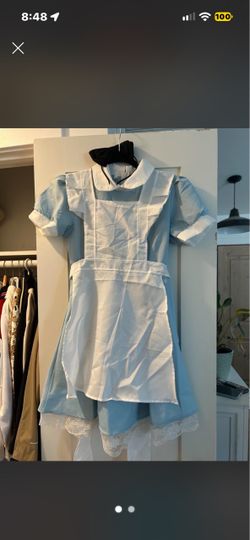 Alice Adult Costume