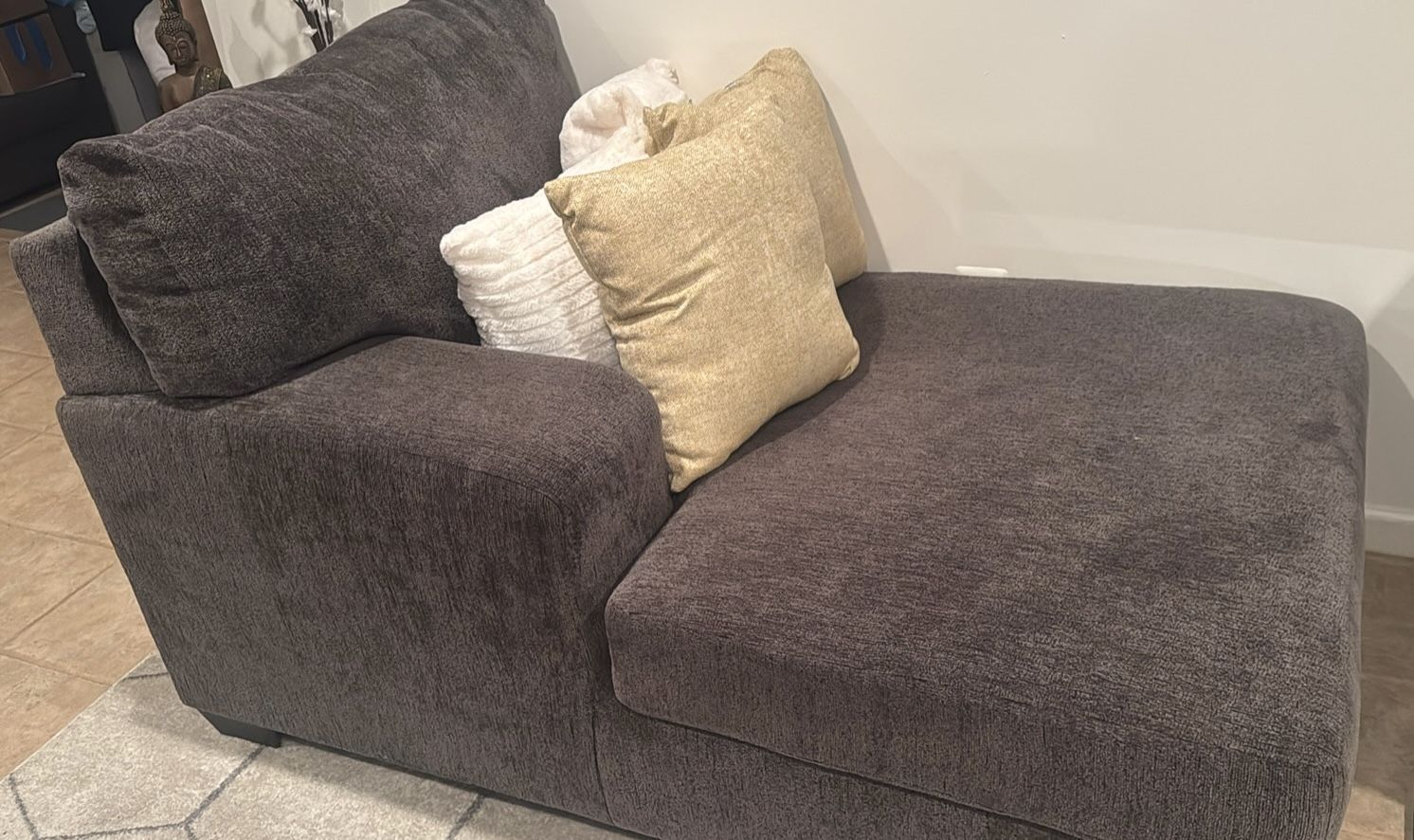 Chaise, Sofa Furniture Must Go Asap  Serious Inquiries Only Please 