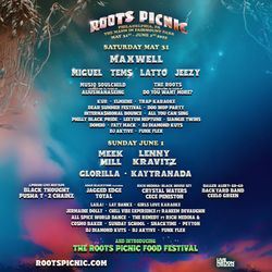 Roots Picnic GA