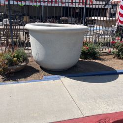 Pot Planter