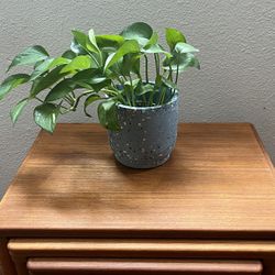 Terrazzo Planter / Plant Pot - Indoor & Outdoor Use (no plant)