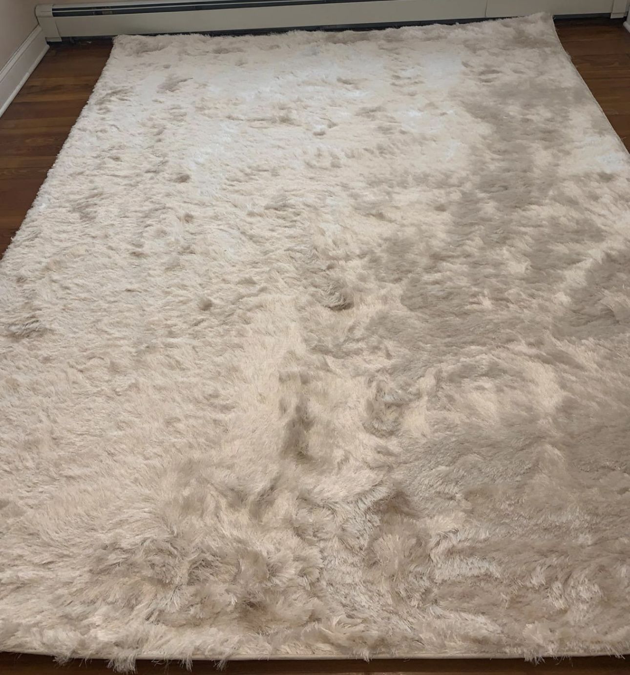 Shag Area Rug