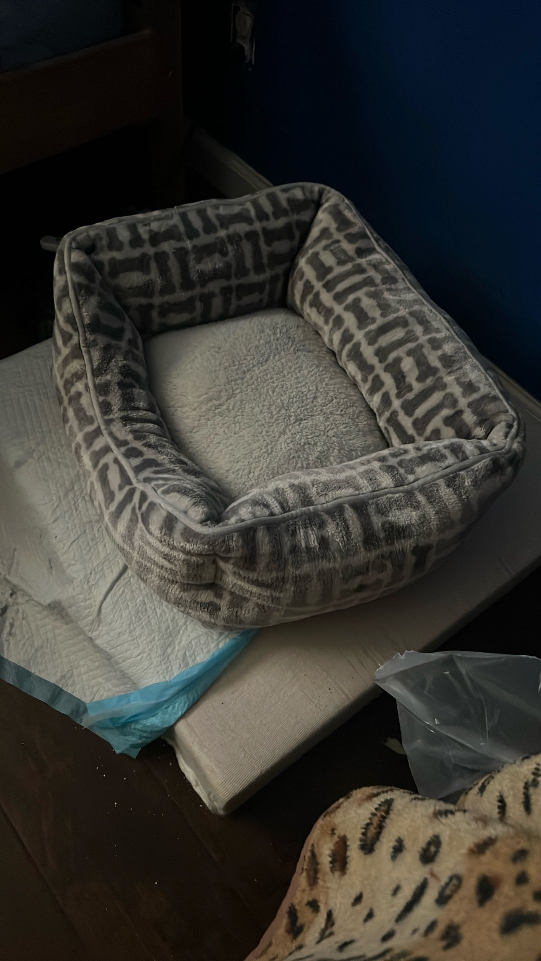 Small Cat Bed