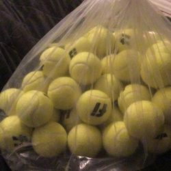 Tennis Balls  $25