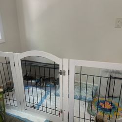 Rabbit Enclosure 