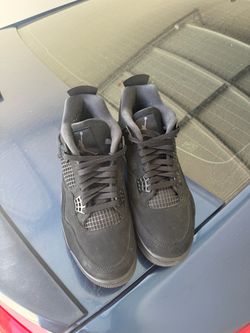 Black Cat 4s