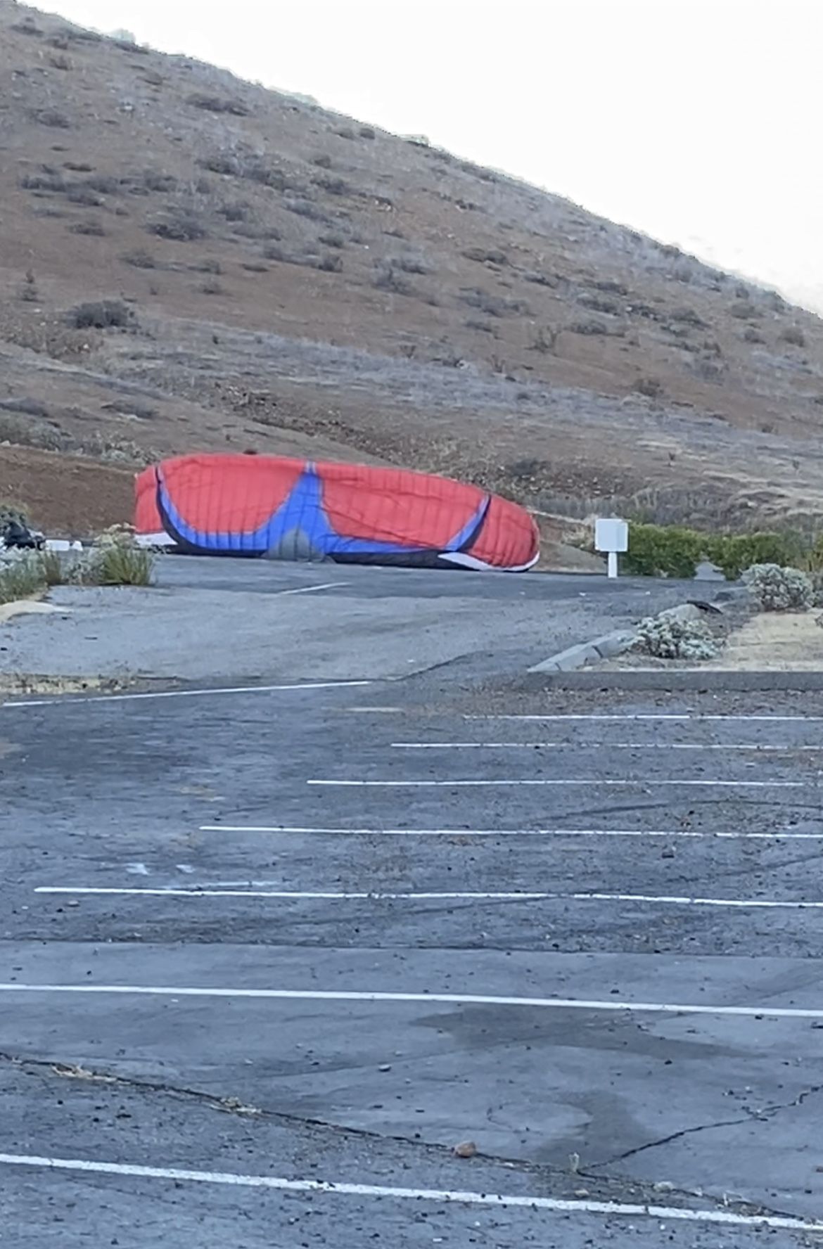 Paraglider Wing Paramotor Wing