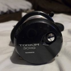 Shimano Torium 30hg