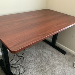 48” x 30” Wood Standing Desk 