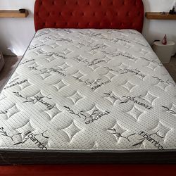 Orange tufted wueen sized bed