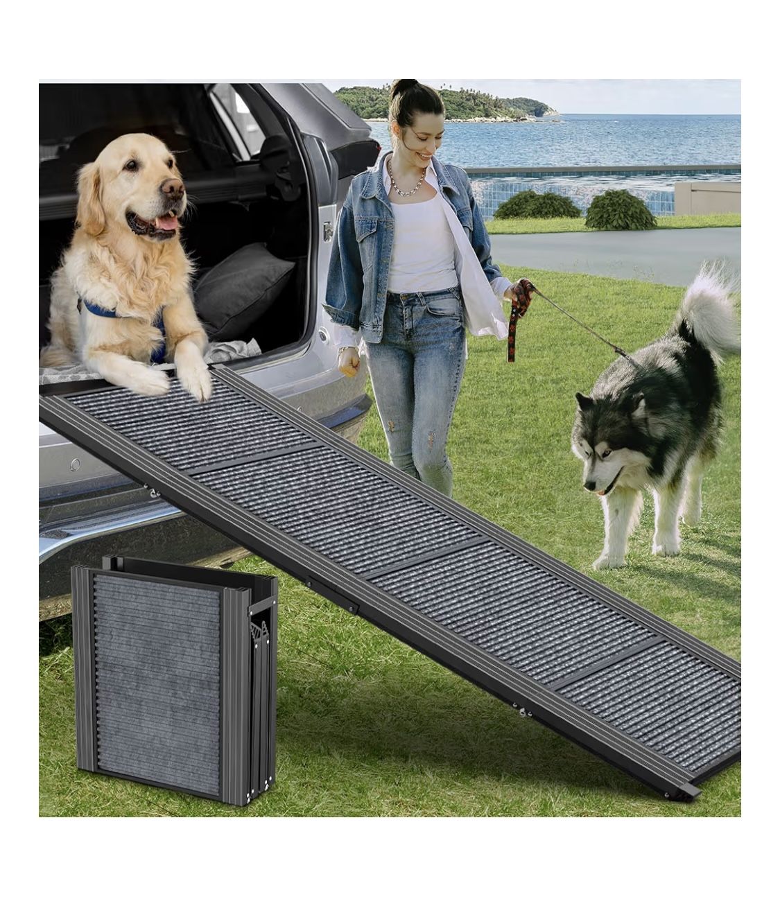 Pet Ramp