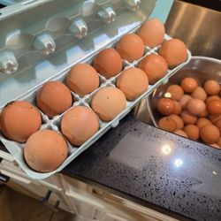 Fresh Organic Eggs .