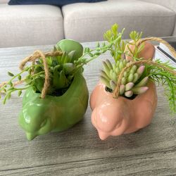 Couple birds plant  for home decoration