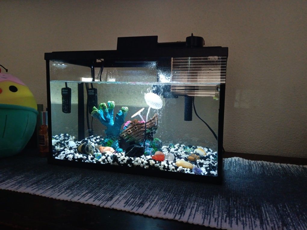 Fish Tank