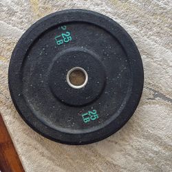 25 Pound Bench Press Weights 1x