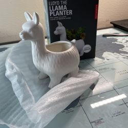 Llama Pot for Small Plants