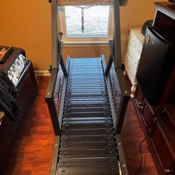 Dog Treadmill