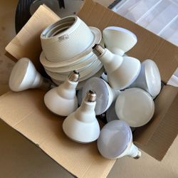 recessed light Trim And Bulbs 