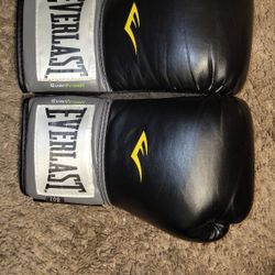 Black Everlast 8 oz. Weight Boxing Gloves
