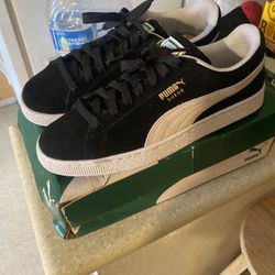 Pumas