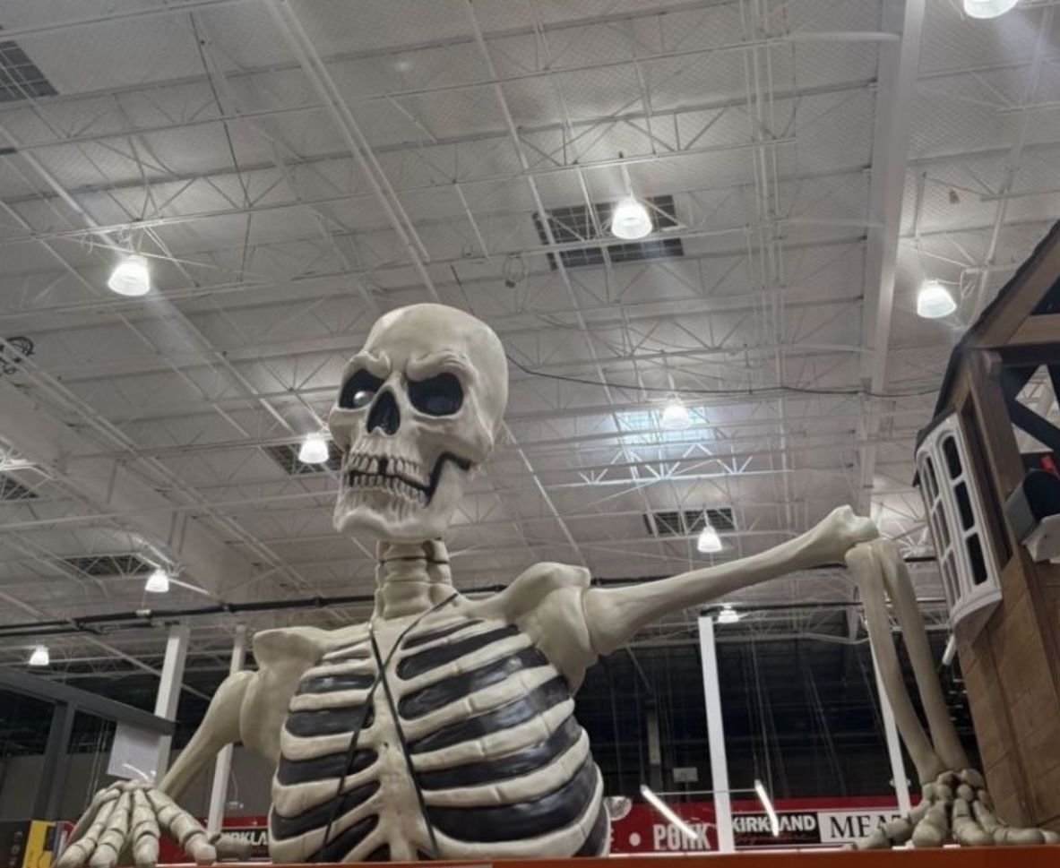 Ground Breaking Skeleton