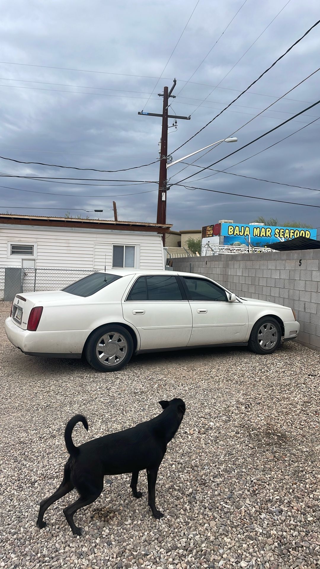 For Sale