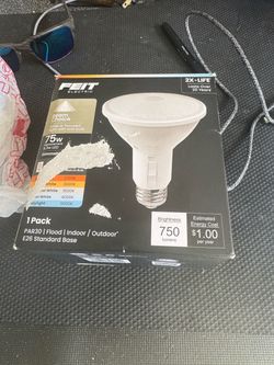 Feit light bulb