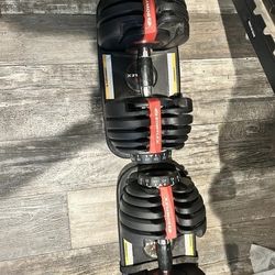 Bowflex-Dumbbells-Selecttech-552..