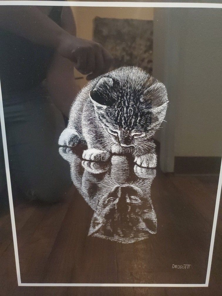 Kitten Picture