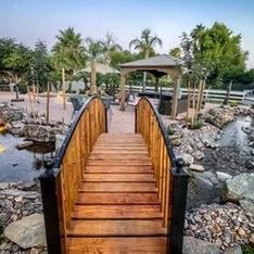 Backyard Paradise 