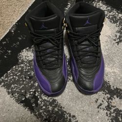 Jordan 12  “field Purple” Sz 10