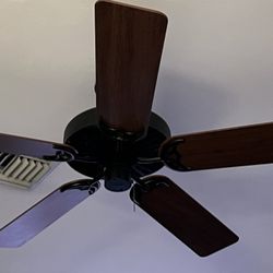 Hunter Fans