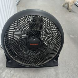 Fan 