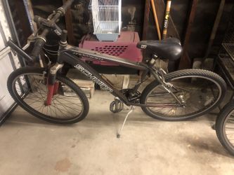 Schwann Bike
