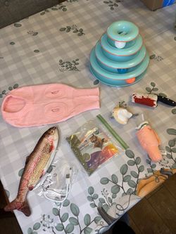 Cat Toy and Accessory Lot