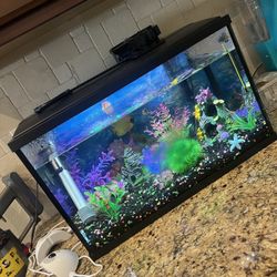 Heated Fish Tank With Decor 