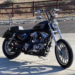 2007 Harley Davidson Iron 883 XL