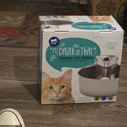 Filtered Freshwater Cat Bowl