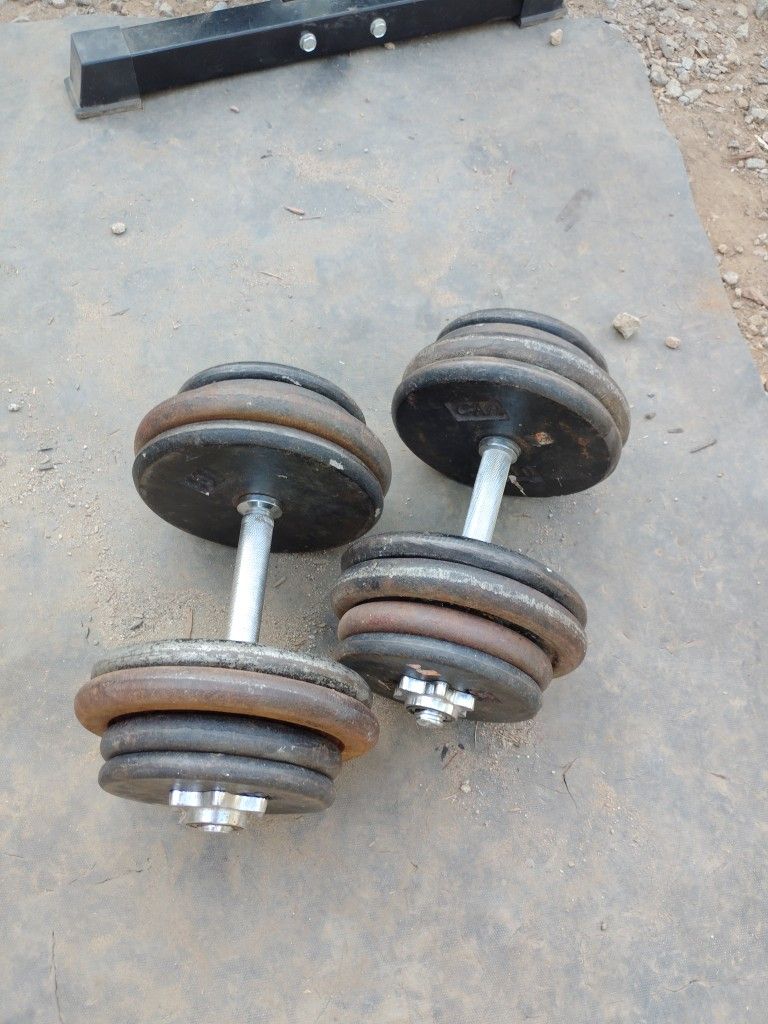Dumbbells 2x65lbs