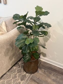Artificial Fiddle Leaf Fig Tree in Rustic Planter (3 Ft 7 Tall)