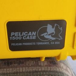 Pelican 1500 Waterproof Gun/Camera Case