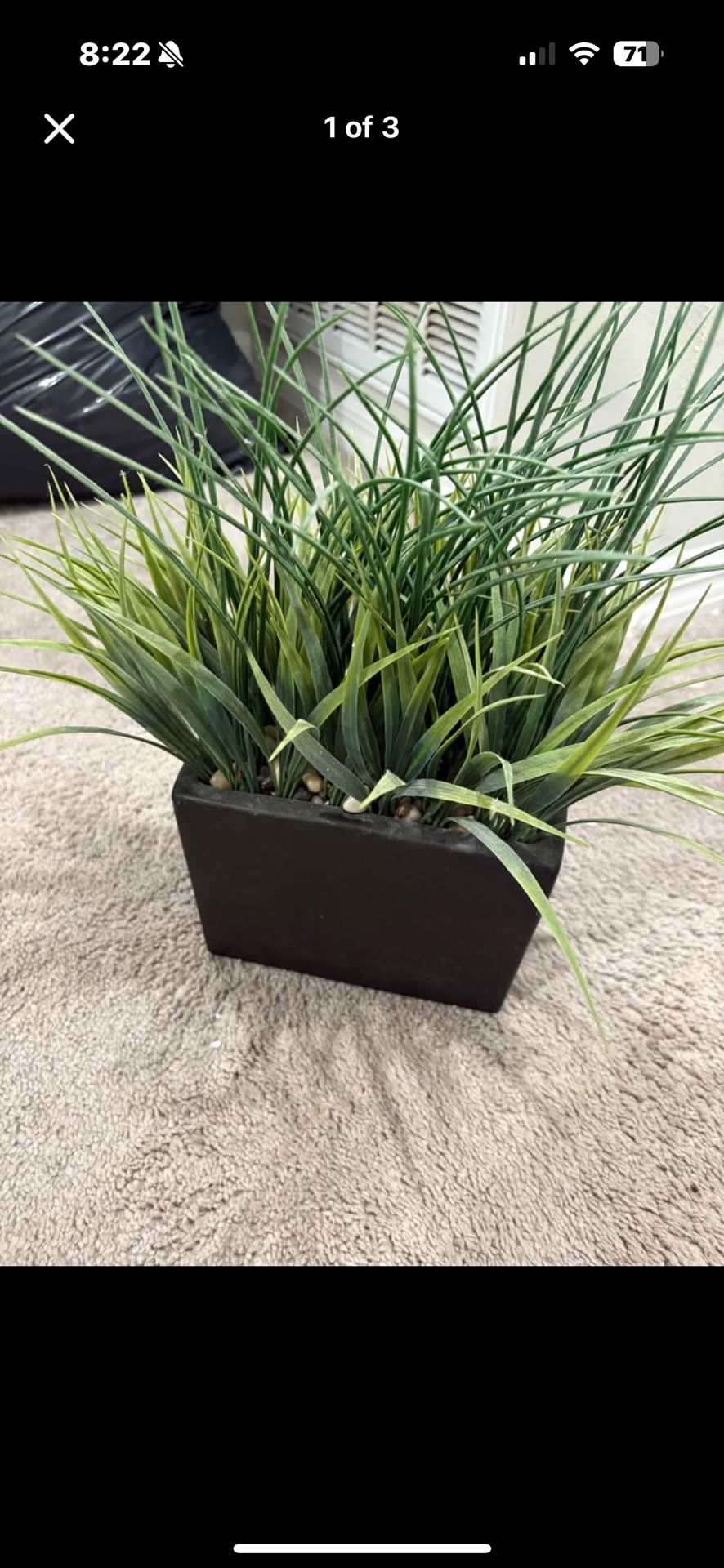 Home Decor Plant