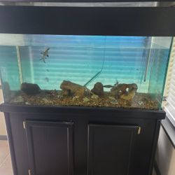 90 Gallon Fish Tank