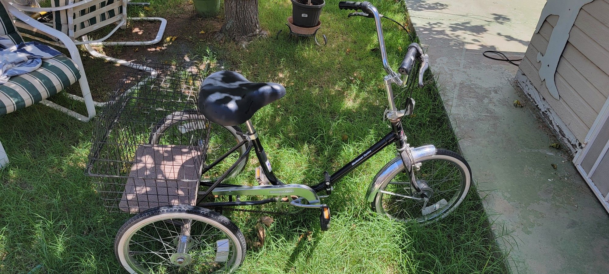 Worksman Cycles Adult Size Tricycle Black Wheel Worksman Cycles