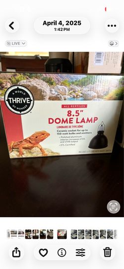 Dome heat lamps